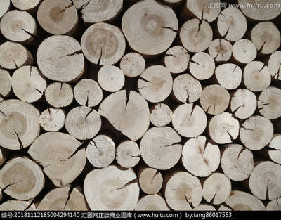 木材与家具 自然与艺术的完美融合