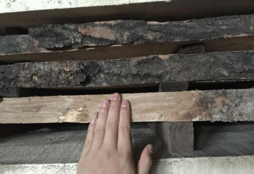 白杨木板烘干工艺详解 烘烤大师的亲身实践分享